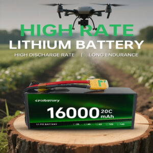 Hot Sale Customized 16000mAh 20C Factory Original - Image 2