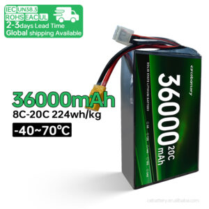 High Rating 20C Solid State Lithium Ion Battery Pack 36000mAh Customized Battery Solutions Low Temperature — изображение 1