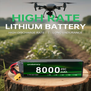 LiPo Battery 8000mAh 25C High Quality Lithium Ion Battery Pack for RC Airplane Helicopter Car Boat UAV - Image 2