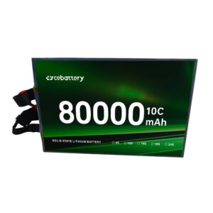 OEM/ODM High Capacity 80Ah Solid State Lithium Ion Battery - Image 2