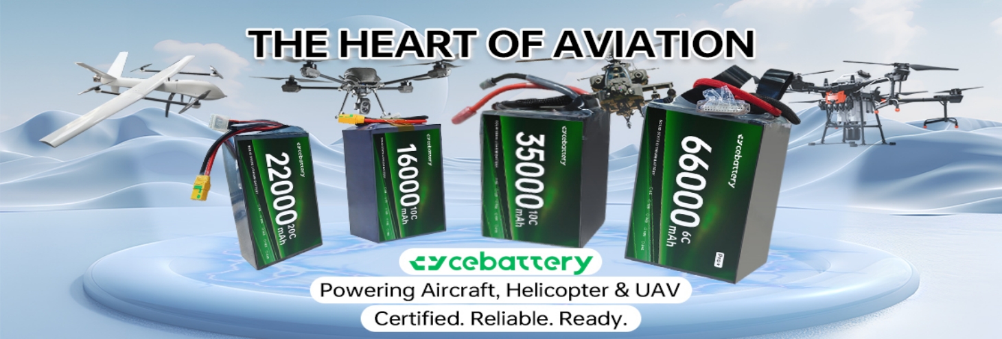 Original Factory Lipo Drone Batteries