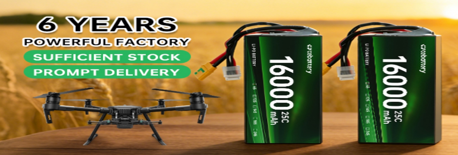 Solid State Drone Batteries