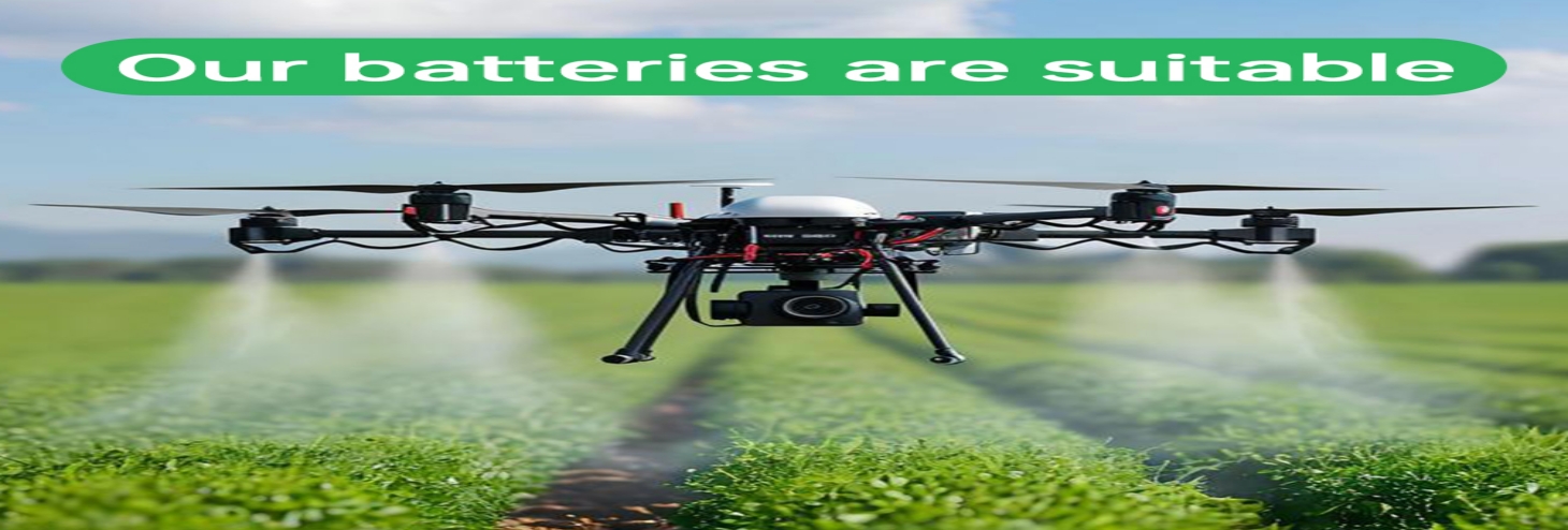 Li Polymer Drone Battery