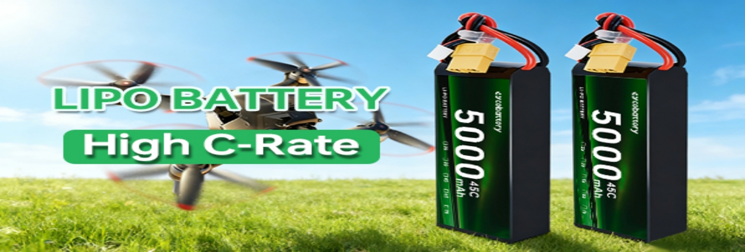 6S Lipo Battery
