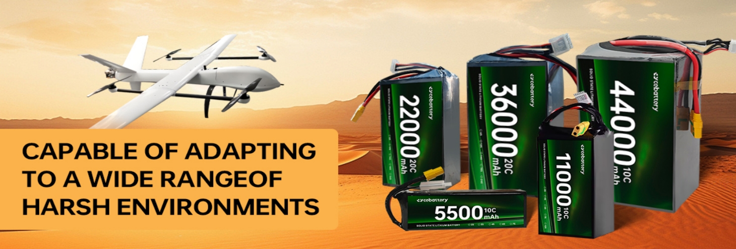 Custom Solid State Batteries