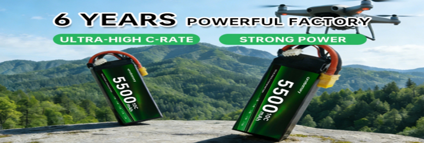 6S Lipo Batteries