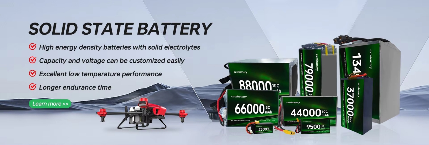 Custom Lipo Pack